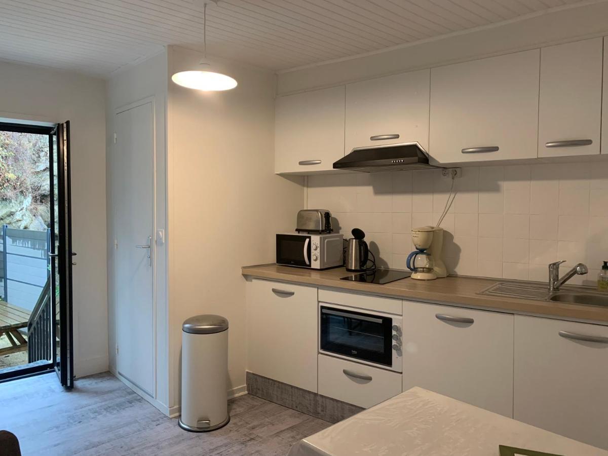 Appartement 4 Personnes, 1 Chambre, Terrasse, Wifi, Proche Du Centre La Bourboule Exteriör bild